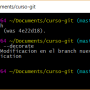 git_branch_delete.png