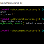 git_checkout.png