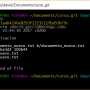 git_show.png
