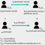 criptografia-clave-simetrica-asimetrica.png