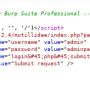 csrf-poc-burp-professional.png