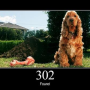 http-code-302.png