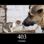 http-code-403.png