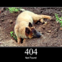 http-code-404.png