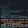test-ssl-bash.png