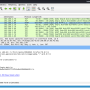 wireshark.png