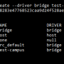 custom-bridge-net.png