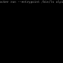 docker-run-alpine-ls.png