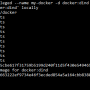 docker-run-dind.png