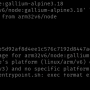 docker-run-invalid-arch.png