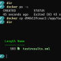 docker-tests6.png