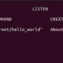 host-port-open.png