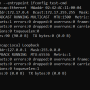 ifconfig.png