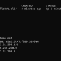 ipconfig-en-contenedor.png