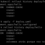 rollout-history-3.png